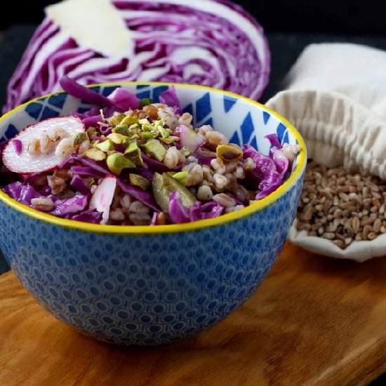 Vegan Farro Salad