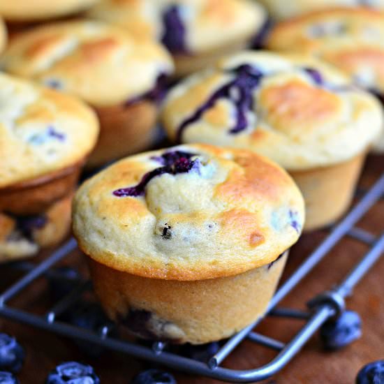Vanilla Blueberry Muffins