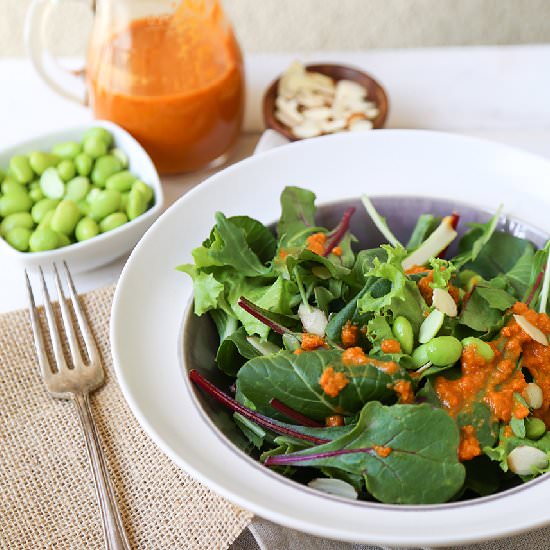 Carrot Ginger Salad Dressing