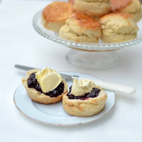 Traditional Clotted Cream Tea