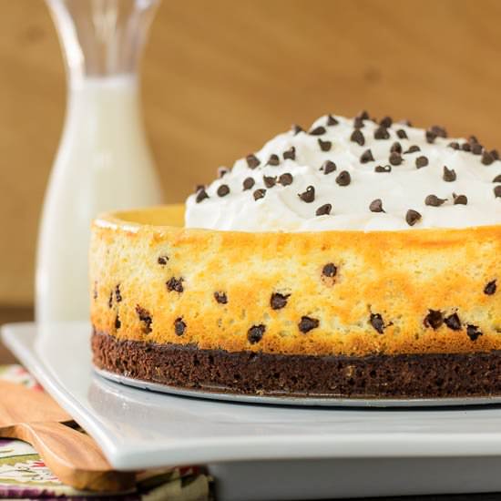 Brownie Chocolate Chip Cheesecake