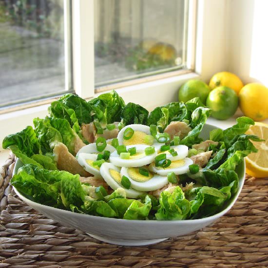 Keto Tuna Salad