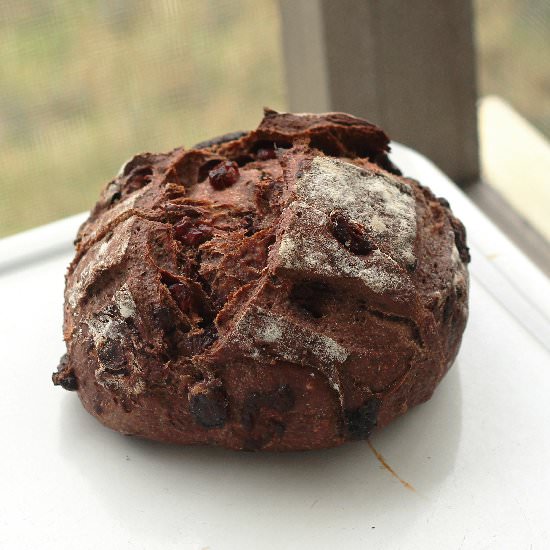 Chocolate Cranberry Sourdough