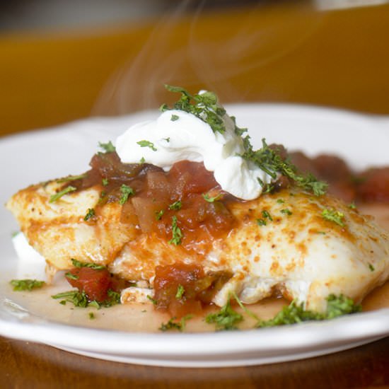 Salsa Chicken