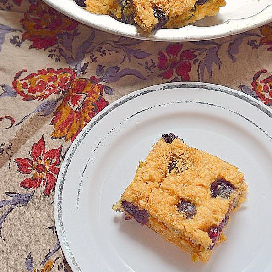 Blueberry squares