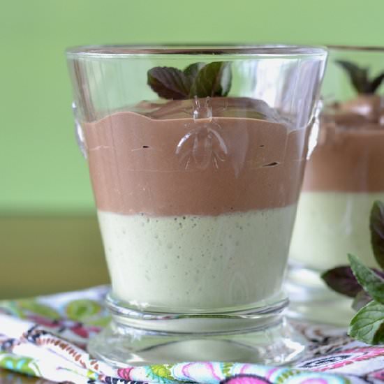 Mint Chocolate-Mint Pudding