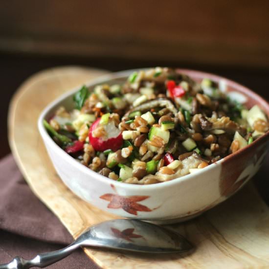 Farro and Lentil Salad