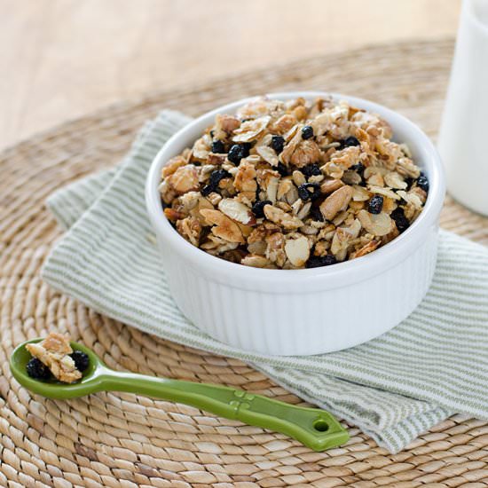 Blueberry Pecan Paleo Granola