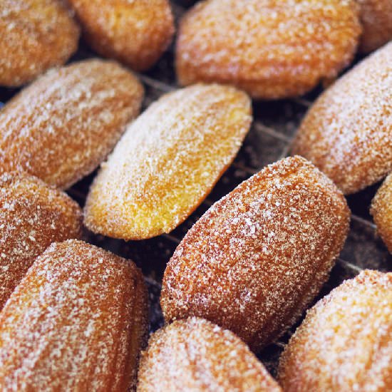 French Madeleines