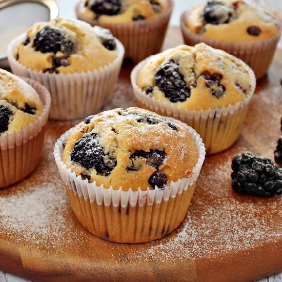 Blackberry and Chocolate Chip Cake