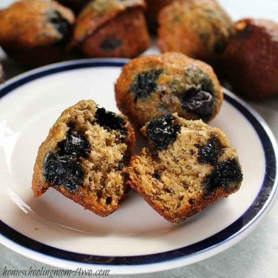 Banana Blueberry Maple Mini Muffins