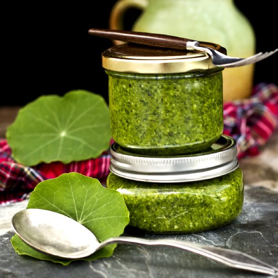 Nasturtium and Basil Pesto