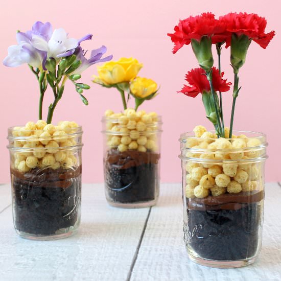 Flower Chocolate Cake Jars