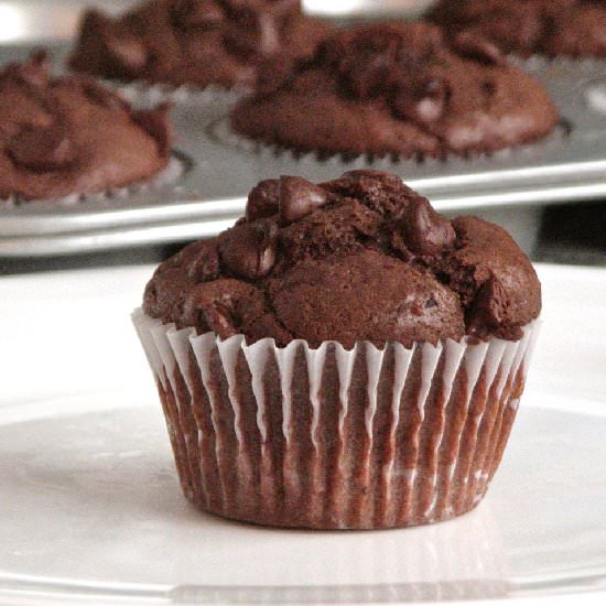 Double Chocolate Buttermilk Muffins