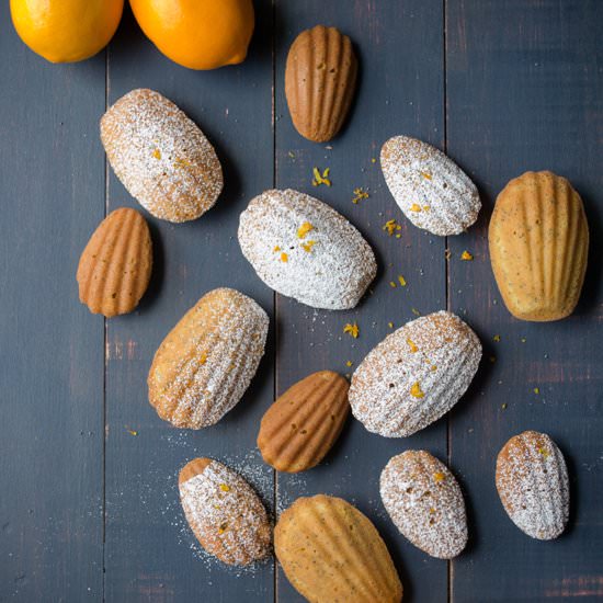 Meyer Lemon Poppyseed Madeleines