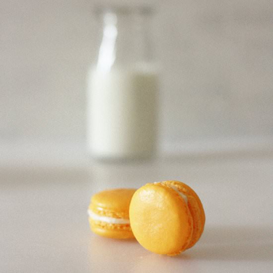 Orange Macarons