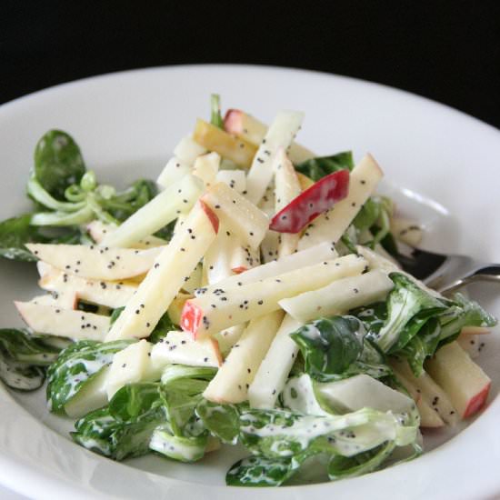 Kohlrabi, Apple & Mache Salad
