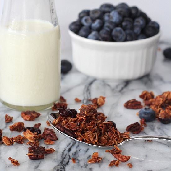Coconut Blueberry Pecan Granola