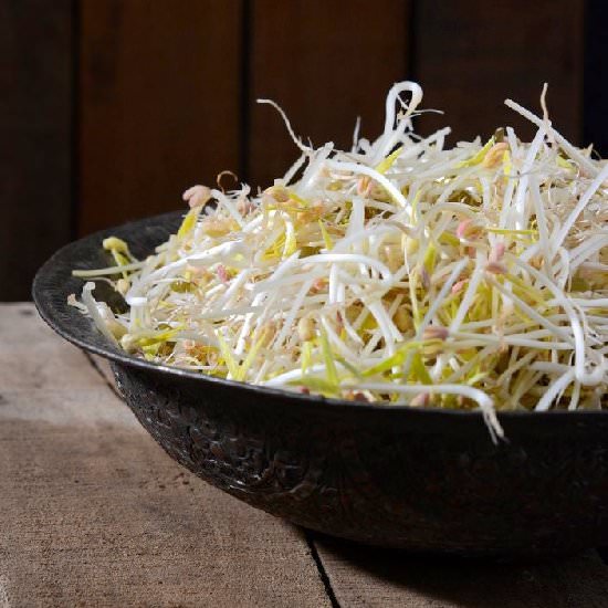 Perfect moong bean sprouts