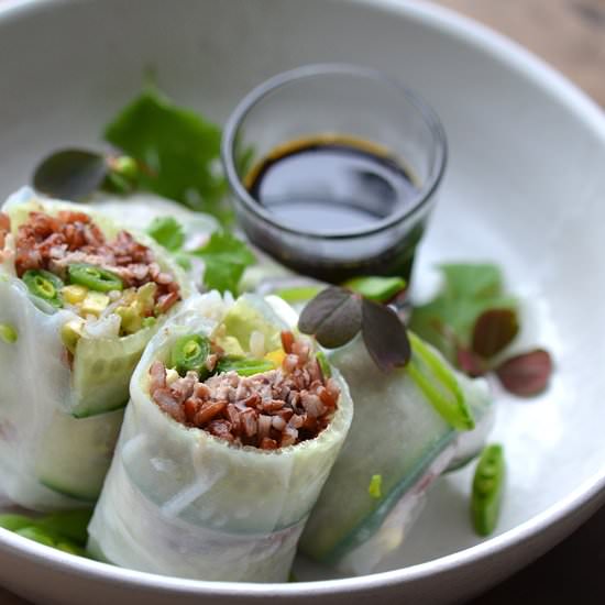 Fresh Spring Rolls