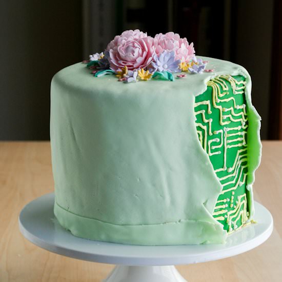 Cyborg Cake
