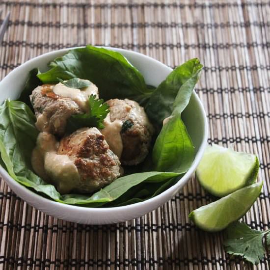 Thai Turkey Meatballs