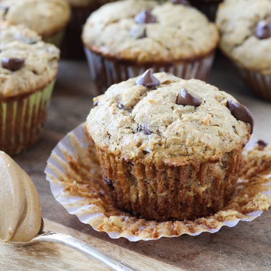 Peanut Butter Chocolate Chip Muffin