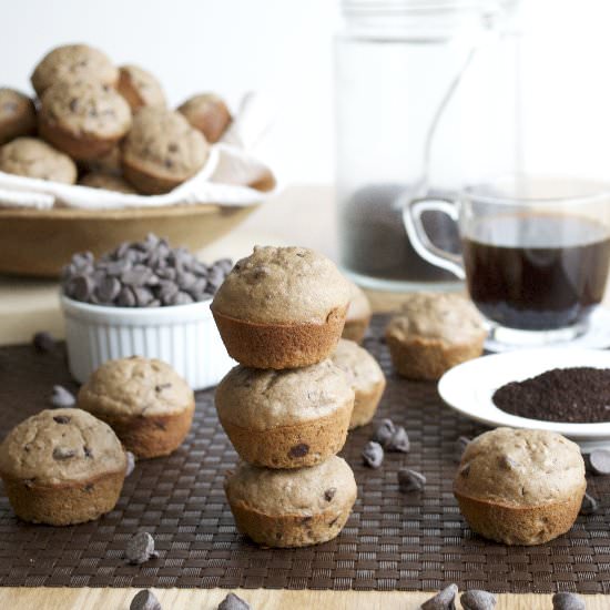 Mocha Chocolate Chip Muffins