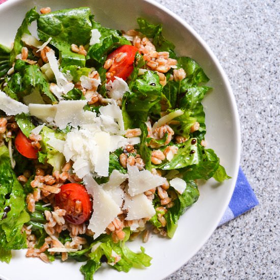 Farro, Pecorino and Balsamic