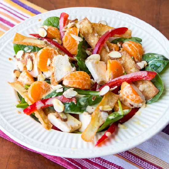 Asian Chicken Wonton Salad
