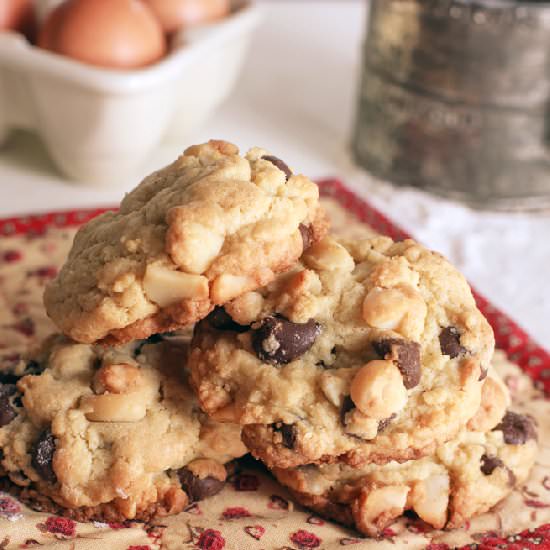 Dark Chocolate Macadamia Nut Cookie