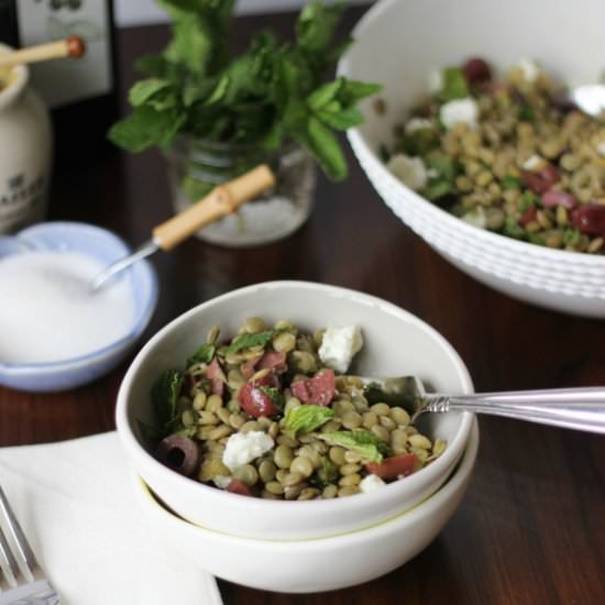 Lentil Salad with Olives, Mint