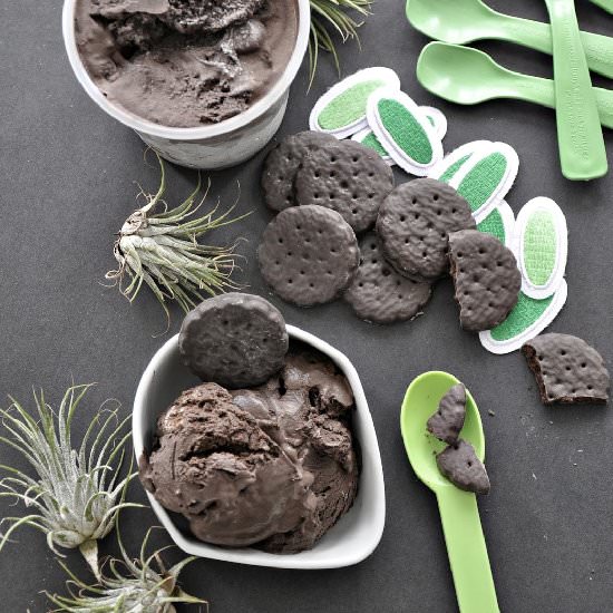 Dark Chocolate Thin Mint Ice Cream