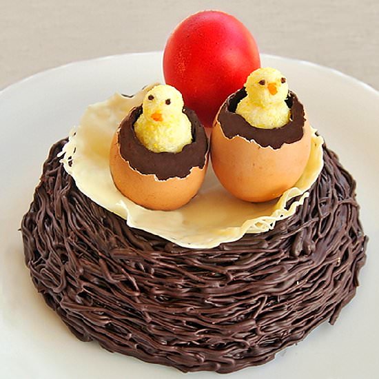 Bird Nest with Chicks