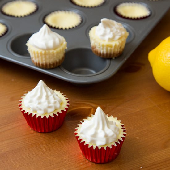 Mini Lemon Cheesecakes
