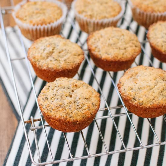 Double Lemon Poppy Seed Muffins