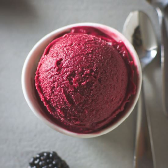 Berry Wine Sherbet