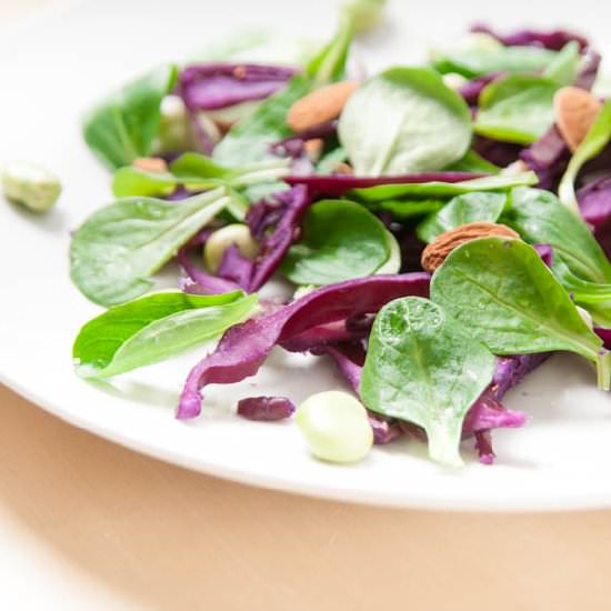 Healthy Salad Packed With Vitamin C