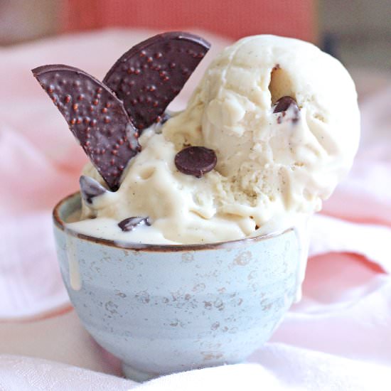 Vegan Vanilla Ice Cream