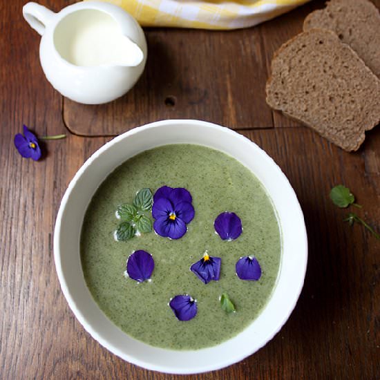 Stinging Nettle Soup