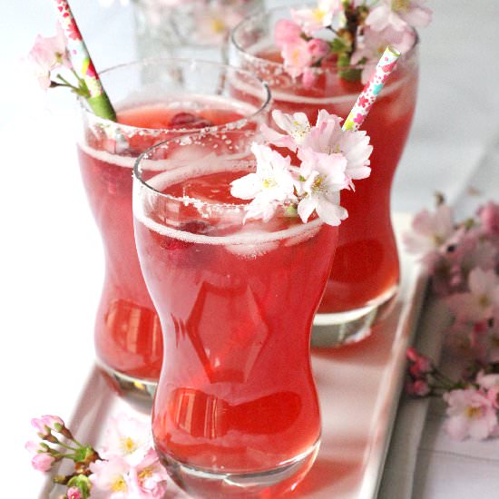 Cranberry Raspberry Margaritas