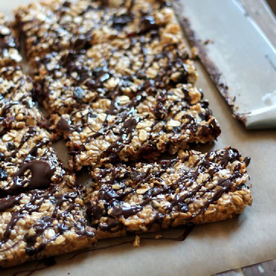Cherry Dark Chocolate Granola Bars
