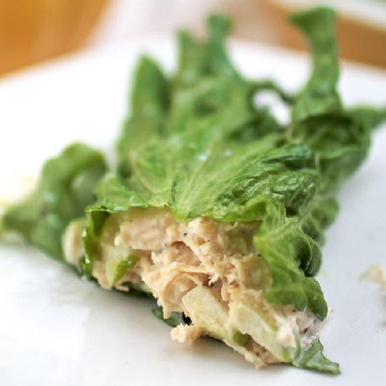 Chicken apple salad lettuce wraps