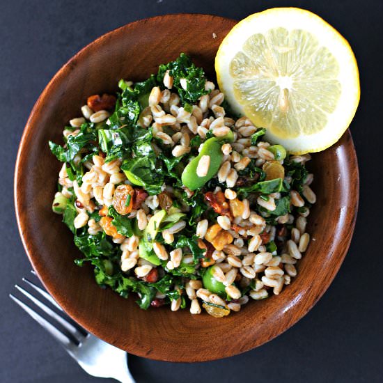 Kale Salad, Farro & Golden Raisins