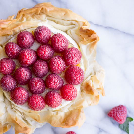 Brie Phyllo Torte+Fresh Raspberries