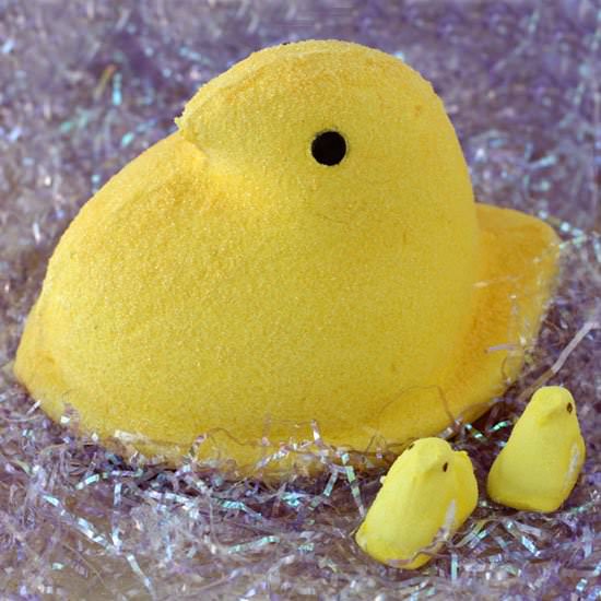 Giant Peep
