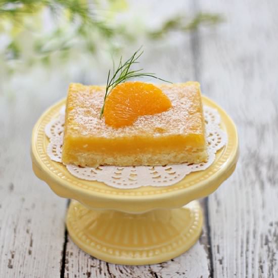 Melt In Your Melt Orange Squares