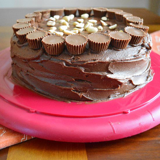 Chocolate Peanut Butter Cake