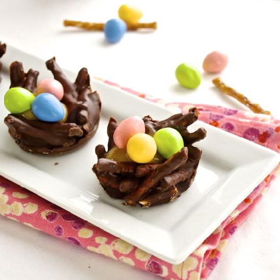 Chocolate PButter Pretzel Bird Nest