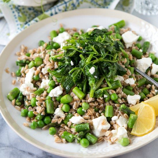 Spring Pea Farro Salad